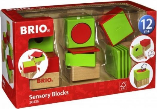 BRIO Набор развивающих сенсорных кубиков 6 элементов