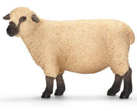 Шробширская овца